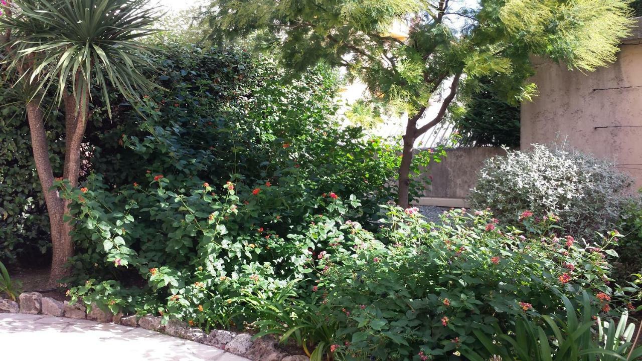 Central Avec Jardin Cannes Zewnętrze zdjęcie