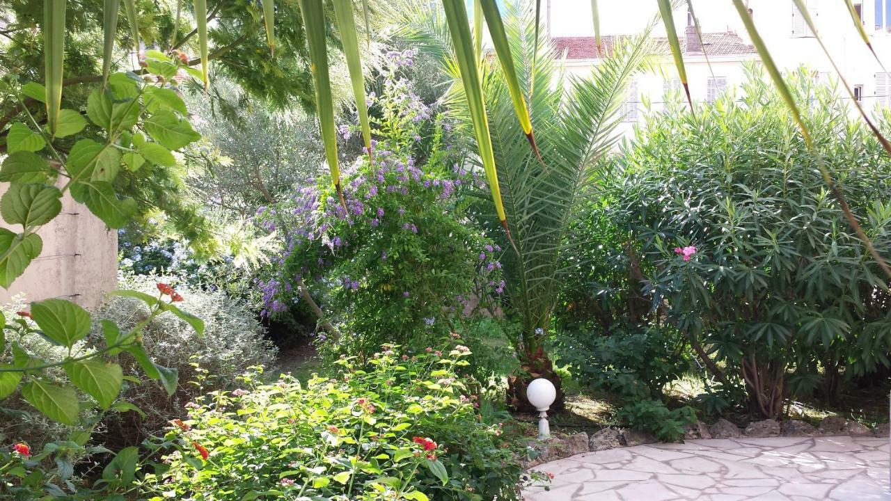 Central Avec Jardin Cannes Zewnętrze zdjęcie